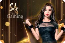 dreamgaming casino sa